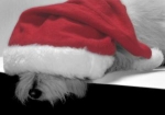 God Jul