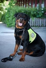 Mullehund - Learoys kärlek räcker till alla barn