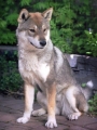 Shikoku_2