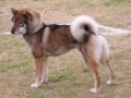 Shikoku_1
