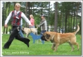 Mastiff_2