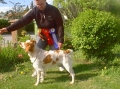 Breton_2