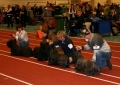 Skyeterrier_2