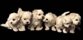 Malteser_1